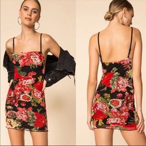 Super down Marnie Mini Dress Floral Rose Small NEW